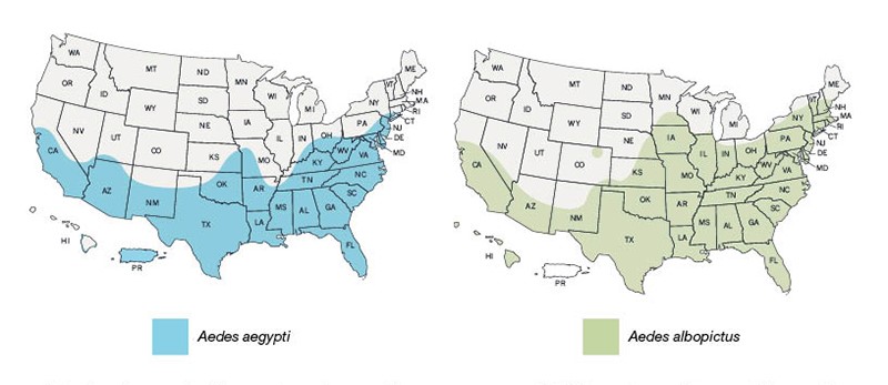 CDC_mosquito_charts