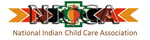 NICCA logo with name