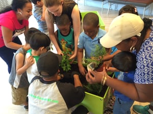 group-of-children-with-providers-examining-plants