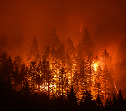 wildfires-1