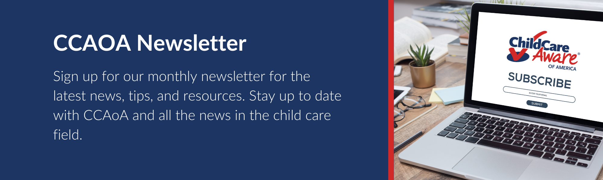 Newsletter Form Banner