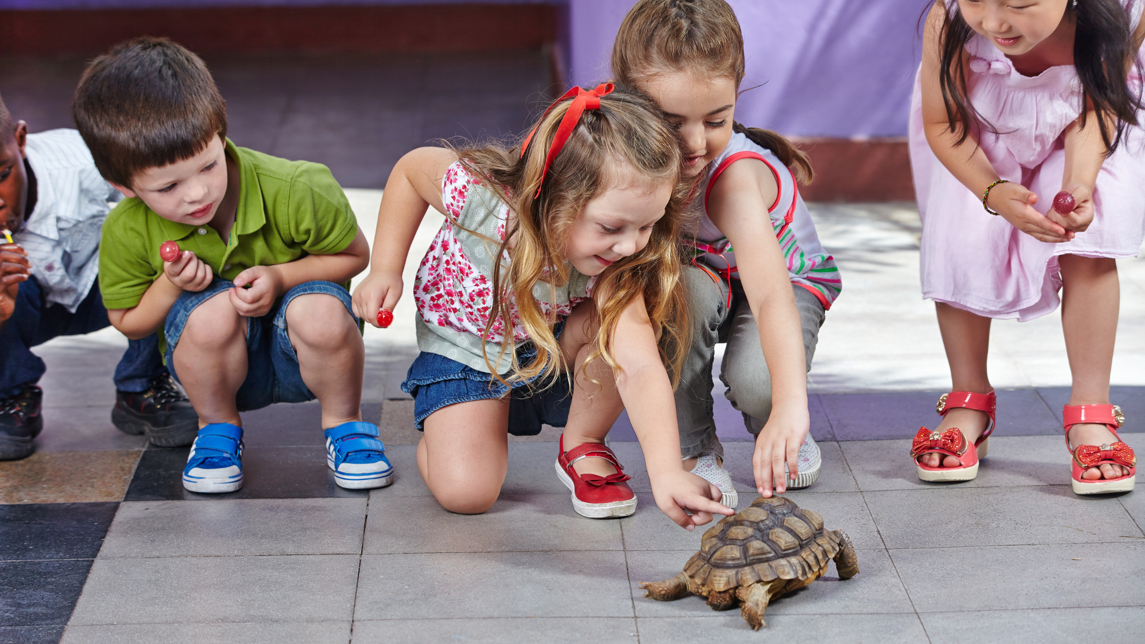 How Arizona Partnered with a Local Zoo to Support Families