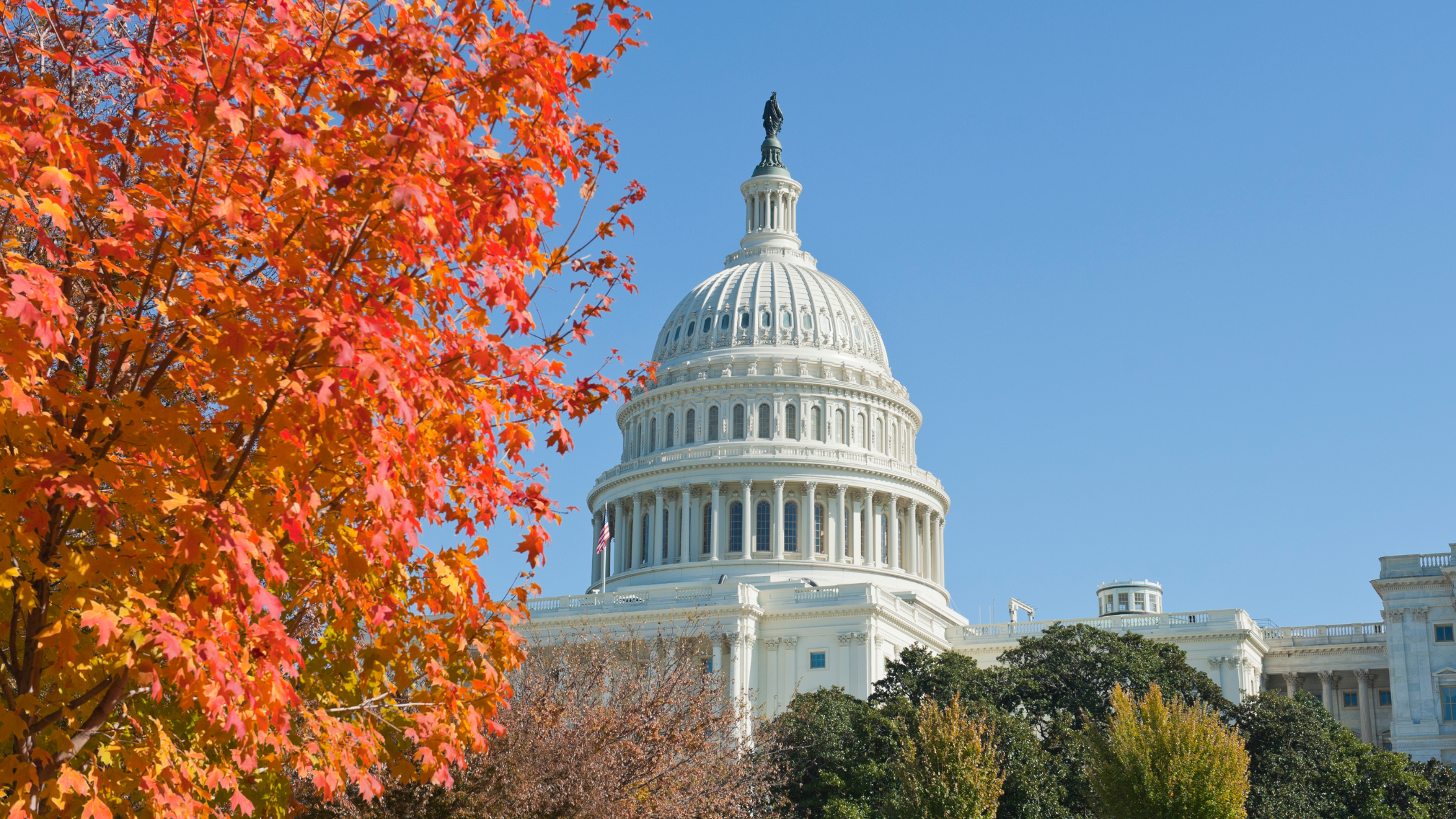 Fall Federal and State Policy Updates